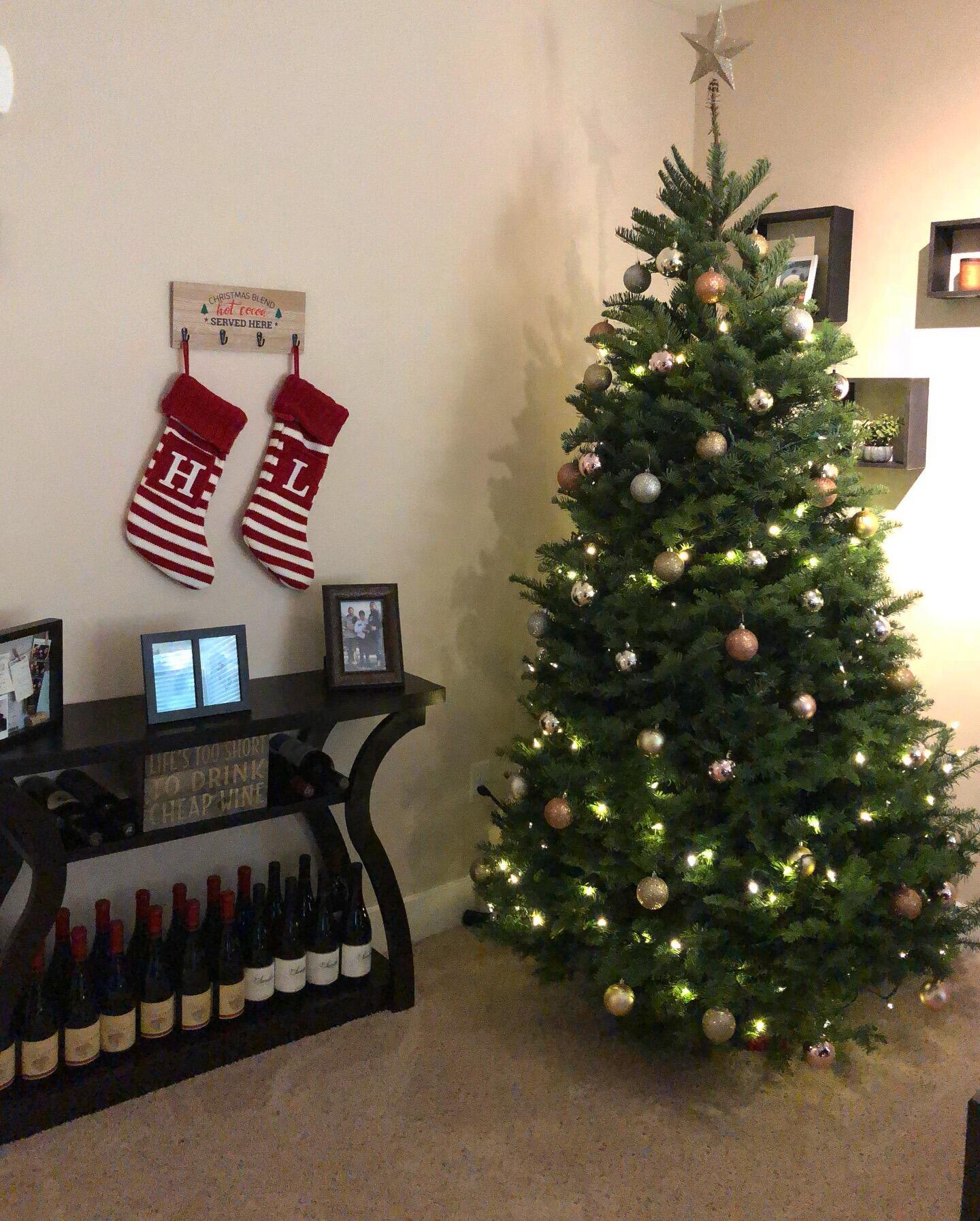 Moved in together!  Willow Glen, CA (pic from our first Christmas at our first place)