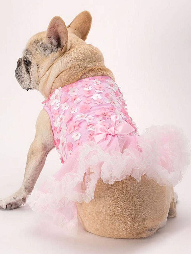 Pink floral dog wedding dress