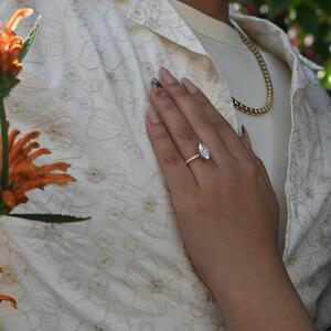 Gallery Photo 14
