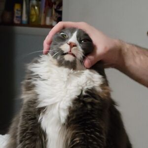 Gallery Photo 28