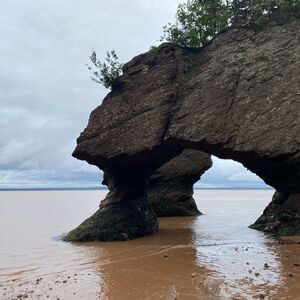 Gallery Photo 48