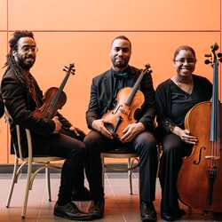 Rousseau String Quartet, profile image