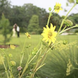 Gallery Photo 11