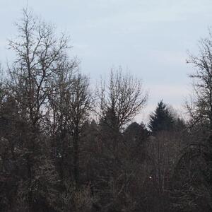 Gallery Photo 11