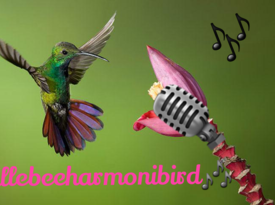Jillebeeharmonibird - Singer - Lachine, QC - Hero Gallery 1