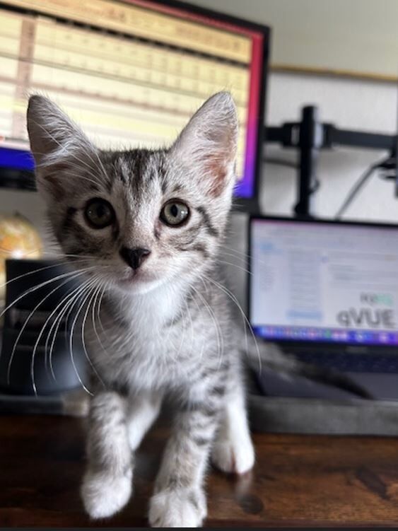 Adopted a fur baby!