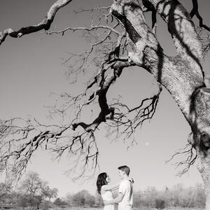 Gallery Photo 7