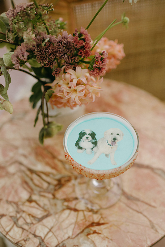 graffiti cocktails with picture of dogs