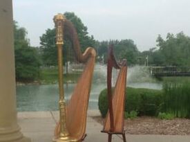 Onita Sanders - Harpist And Singer - Harpist - Detroit, MI - Hero Gallery 4