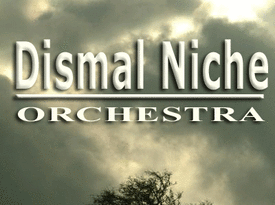 The Dismal Niche Orchestra - Bluegrass Band - Portland, OR - Hero Gallery 3
