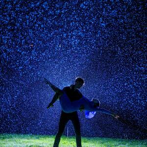 Gallery Photo 5