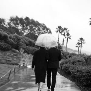 Gallery Photo 45