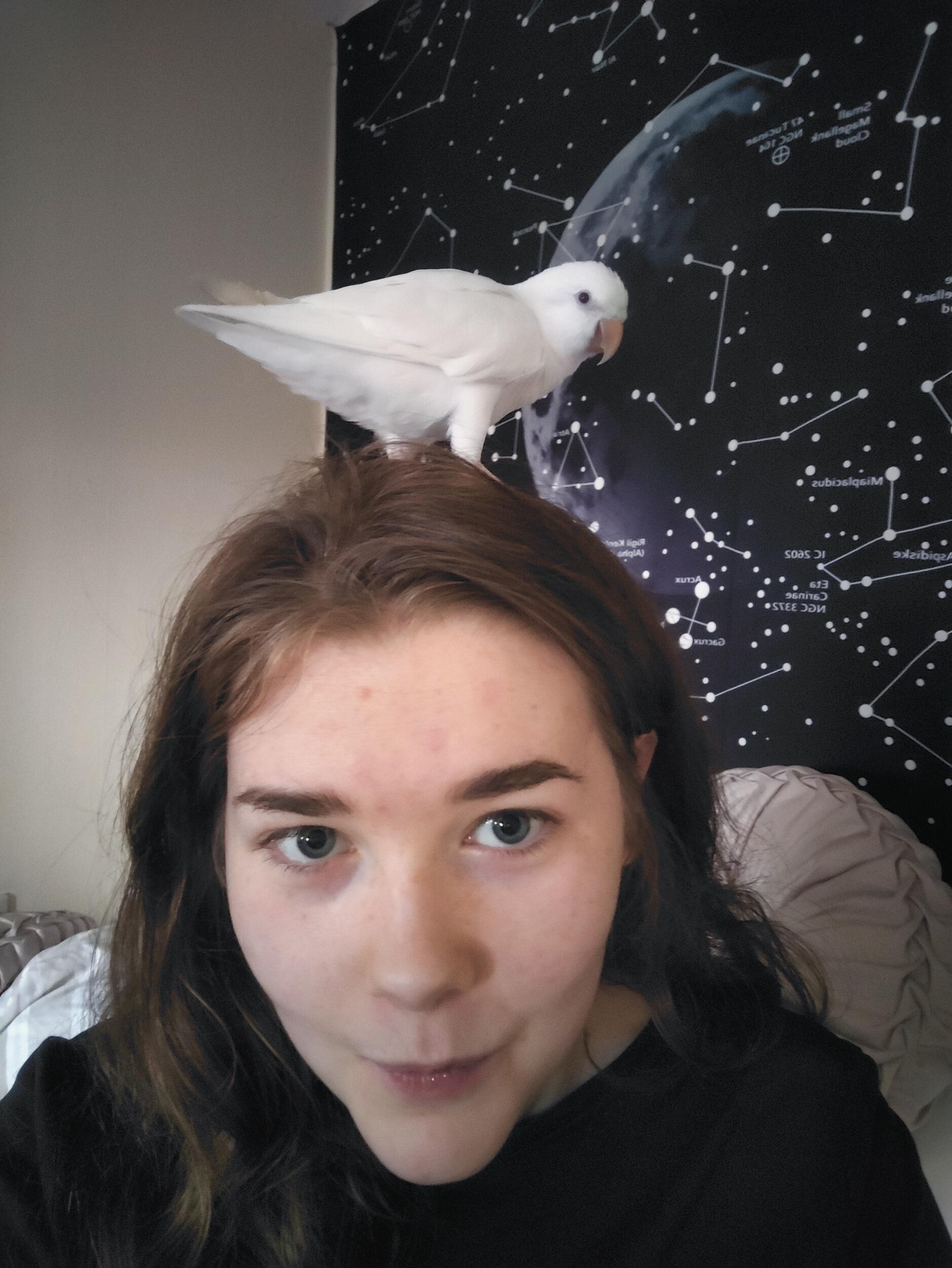 One of our first visits together to Brendan's parents in the Highlands. Pictured: Bekka falling in love with their parrot, Mac.