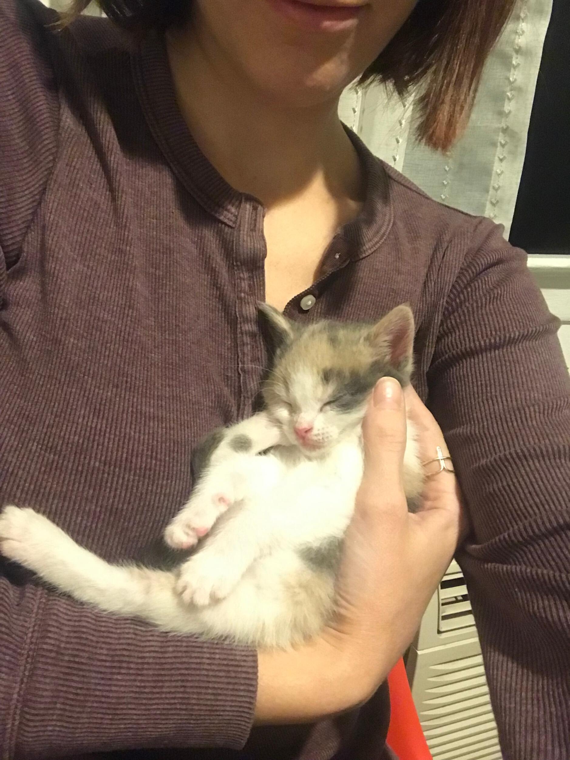 First "Foster Fail". We welcomed Olivia Marie VonZeunstrom into our family. 