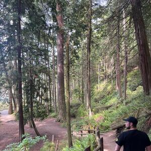 Gallery Photo 20