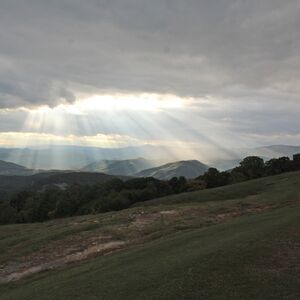 Gallery Photo 17