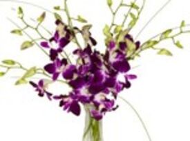 McShan Florist, Inc. - Florist - Garland, TX - Hero Gallery 3