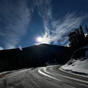 Gallery Photo 8