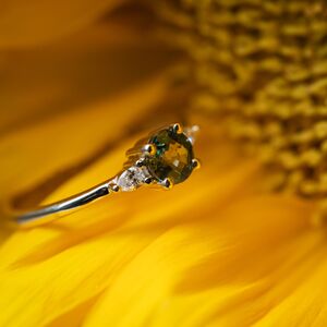 Gallery Photo 21