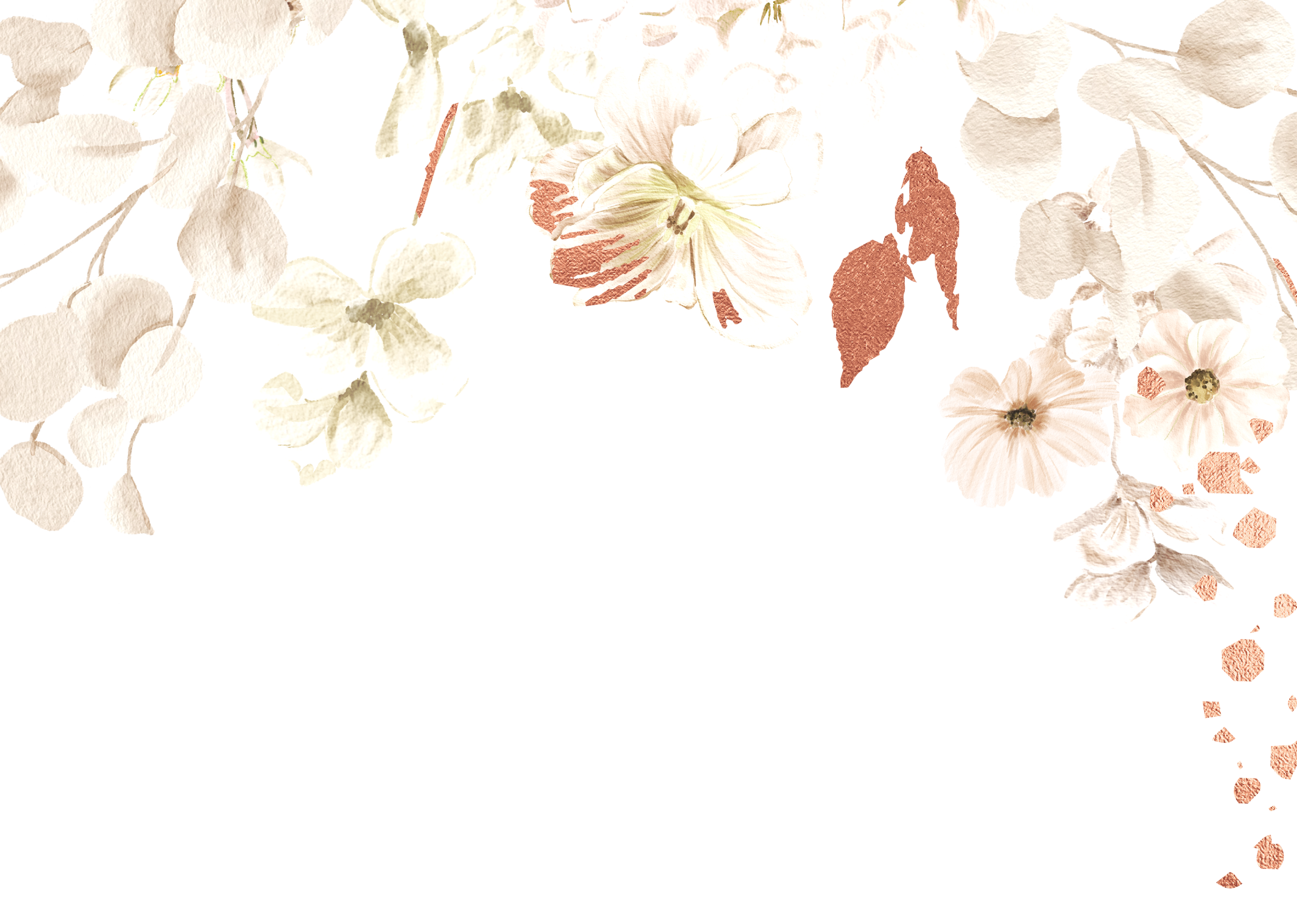 Top Theme Image