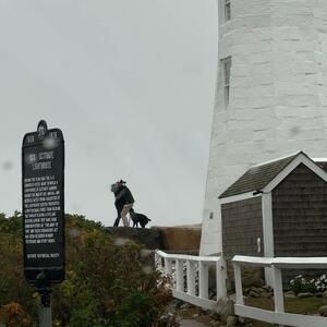 Gallery Photo 9