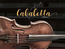Cabaletta Strings-Duos, Trios, Quartets - Acoustic Duo - Asheville, NC - Hero Gallery 3