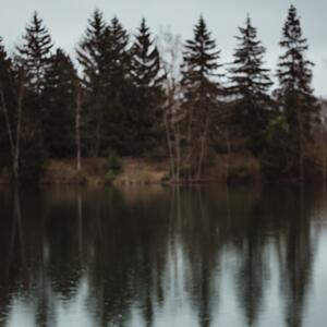 Gallery Photo 141