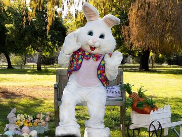 Quality Entertainment - Easter Bunny - Valley Village, CA - Hero Main
