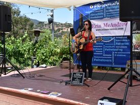 Erin McAndrew - Acoustic Guitarist - Philadelphia, PA - Hero Gallery 3