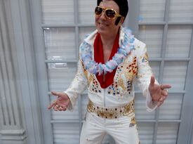 Johnny B Elvis - Elvis Impersonator - Fort Lauderdale, FL - Hero Gallery 1