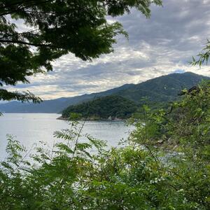 Gallery Photo 25