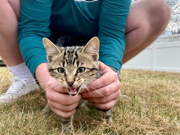 Our second furry friend (and Reeghan's favorite birthday present) – Winston! 