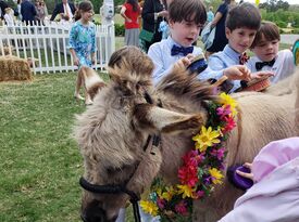 Animals Unlimited - Petting Zoo - Montpelier, VA - Hero Gallery 2