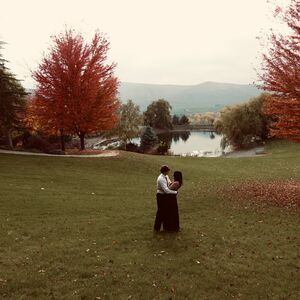 Gallery Photo 6