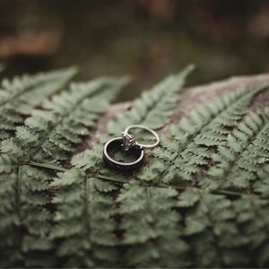 Gallery Photo 16
