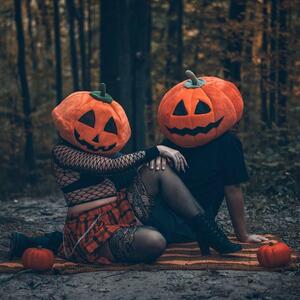 Gallery Photo 28