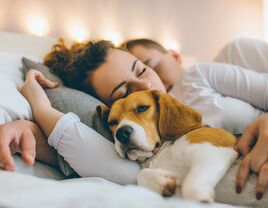 A couple napping with pet dog