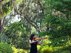 Brianna Rhodes - Violinist - Culver City, CA - Hero Gallery 1