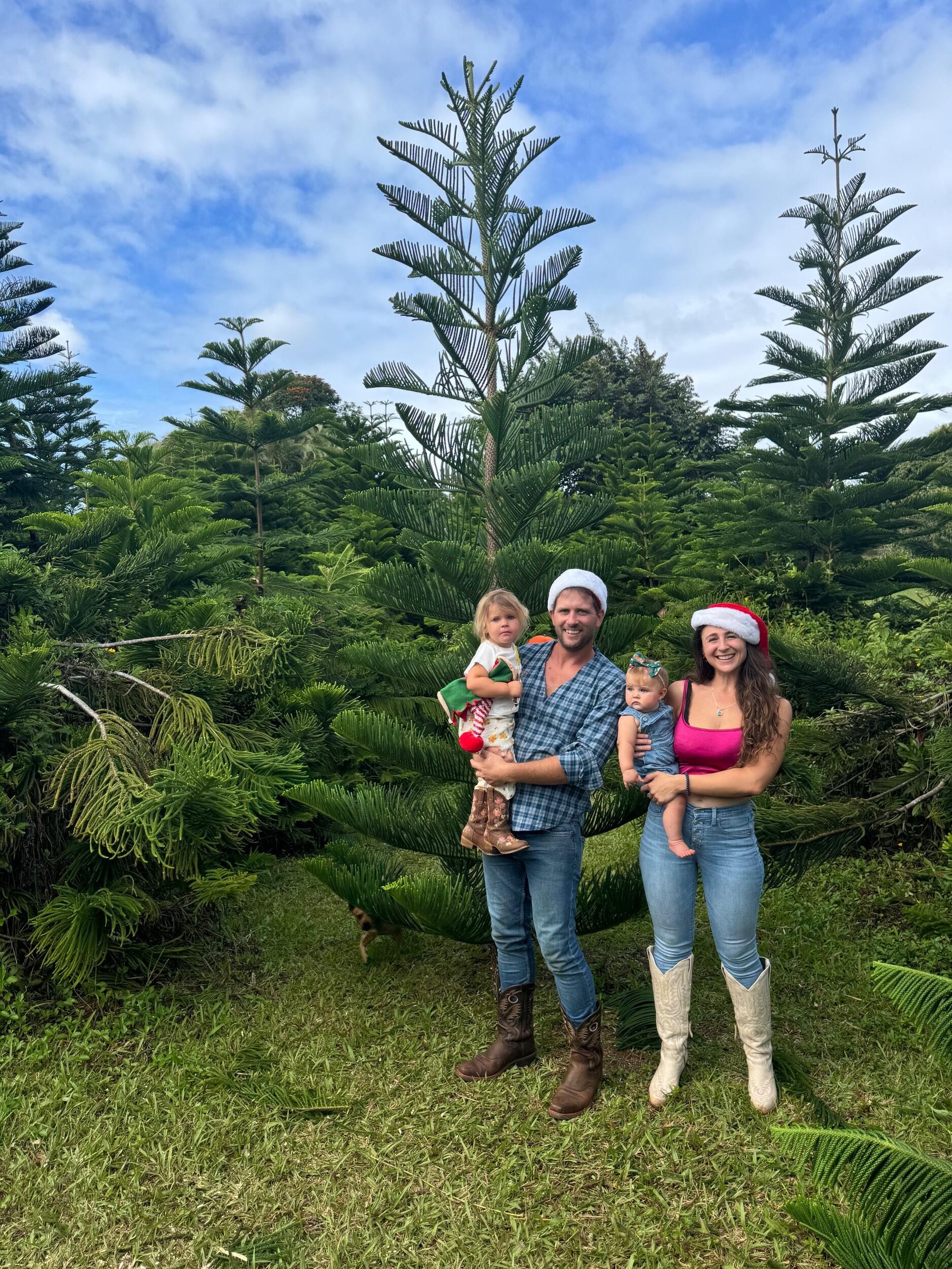 Picking out our first real Christmas tree for a special Christmas 