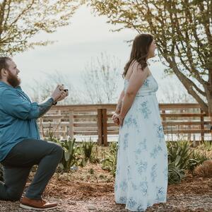 Gallery Photo 24