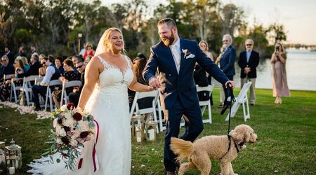 frisco, Dog, Dog Wedding Flower Girl Dress