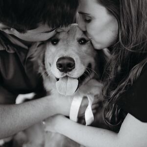 Gallery Photo 8