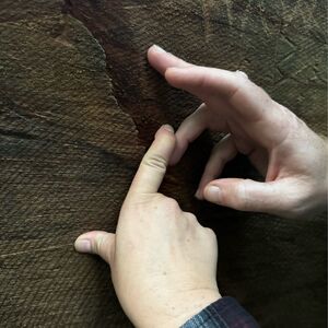Gallery Photo 39