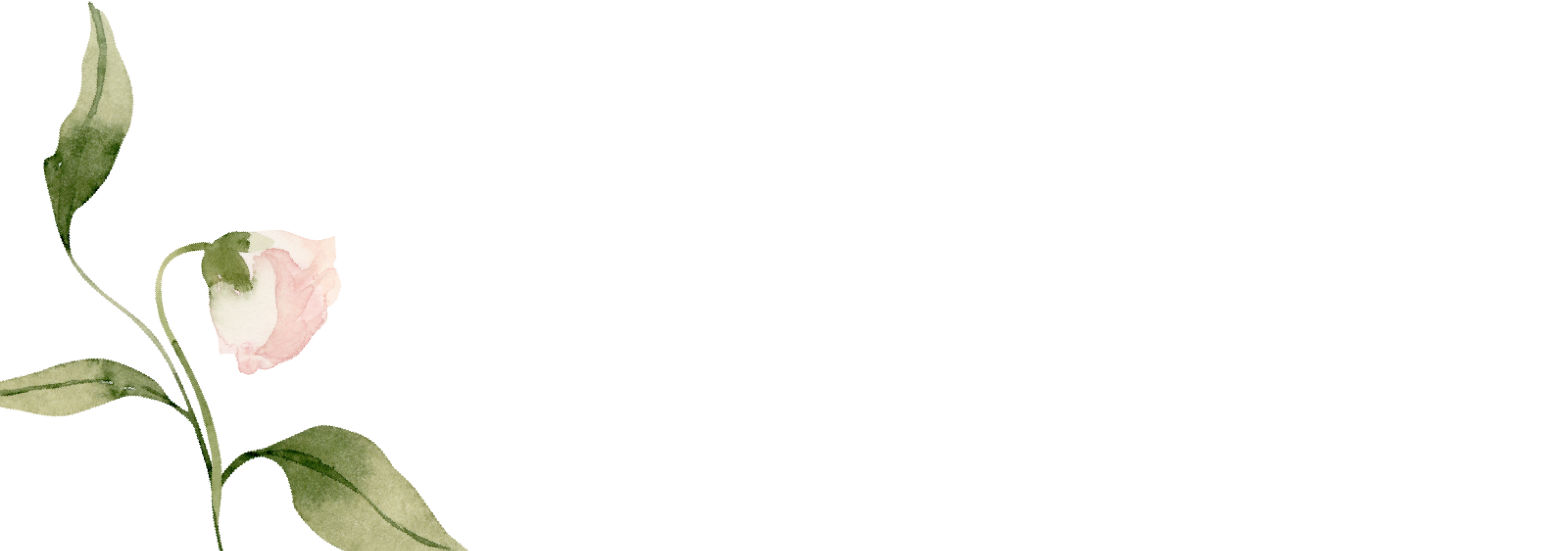 Bottom Theme Image