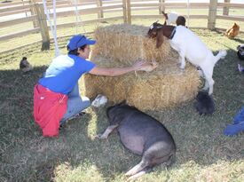 Cricket's Mobile Petting Zoo - Petting Zoo - Kennesaw, GA - Hero Gallery 1