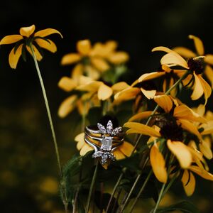 Gallery Photo 7