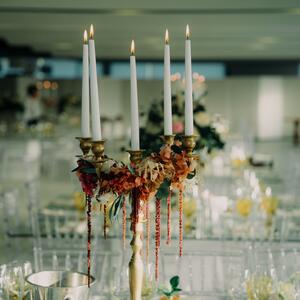 Gallery Photo 582