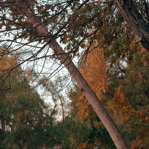 Gallery Photo 14