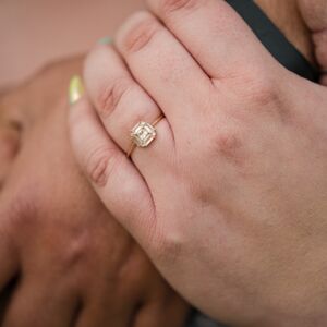Gallery Photo 23