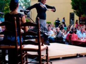 Alma Flamenka - Flamenco Dancer - Atlanta, GA - Hero Gallery 2